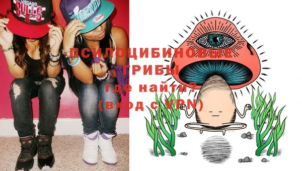 прущие крисы Белоозёрский