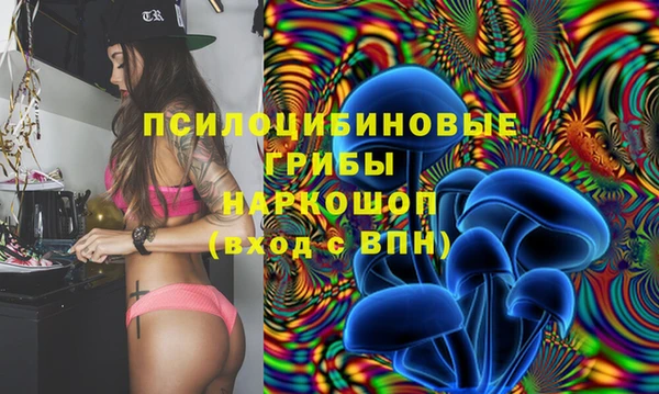 прущие крисы Белоозёрский