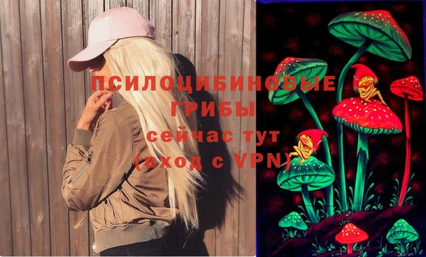 МДПВ Белокуриха